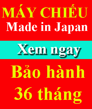 may chieu gia re